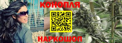 шишки Краснодар