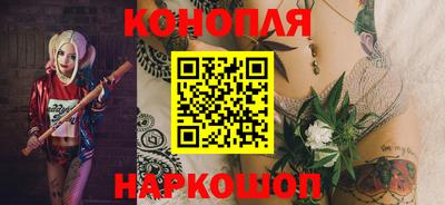шишки Краснодар