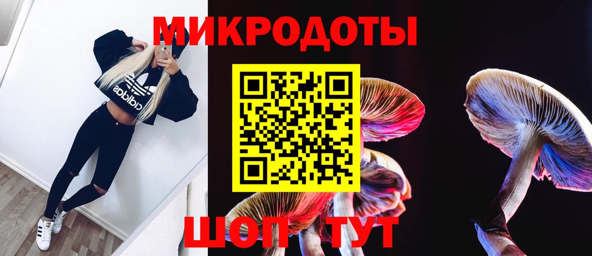 Псилоцибиновые грибы MAGIC MUSHROOMS  Вход с VPN  Коломна 